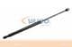 V42-0307 Vaico Газовый упор багажника для Peugeot 505