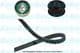 DKT-6519 Kavo Parts Комплект ремня ГРМ