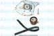 DKW-6504 Kavo Parts Комплект ременя ГРМ + помпа