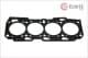 0025105 Elwis Royal Прокладка ГБЦ