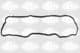 2490790 Sasic Прокладка клапанной крышки