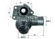 TI 74 85D Mahle Термостат