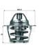 TX 61 83 Mahle Термостат