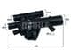 TI 243 89 Mahle Термостат