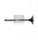 622056 DT Spare Parts Впускний клапан