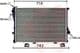 06002233 Van Wezel Радиатор охлаждения двигателя