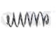 55111604101 Vika Пружина подвески