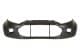 5510002588900P BLIC Бампер для Ford EcoSport