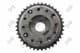 12009030 Loro Шестерня розподільного вала