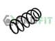 2010-0393 Profit Пружина підвіски