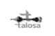 76vw8068 Talosa Піввісь