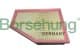 b12450 Borsehung Воздушный фильтр