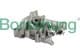 b11899 Borsehung Масляный насос