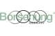 b10371 Borsehung Комплект поршневых колец