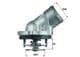 TI 45 87D Behr Hella Термостат