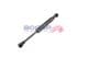 a5134182 Bogap Газовый упор капота для Porsche Boxster