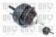 EM4039 Quinton Hazell Подушка двигуна для Ford Transit