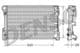 DRM17110 Denso Радіатор охолодження двигуна