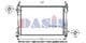 082038N Aks Dasis Радиатор охлаждения двигателя