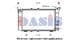 490010N Aks Dasis Радіатор охолодження двигуна