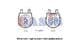 566005N Aks Dasis Масляный радиатор двигателя