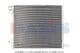 292004N Aks Dasis Радіатор кондиціонера