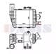 567000N Aks Dasis Інтеркулер