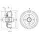 BF487 Delphi Гальмівний барабан