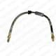 LH0100 Delphi Гальмівний шланг