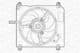 069422005010 Magneti Marelli Вентилятор системи охолодження двигуна