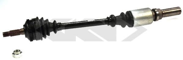 21700 Spidan Піввісь