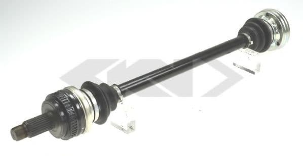 24124 Spidan Піввісь