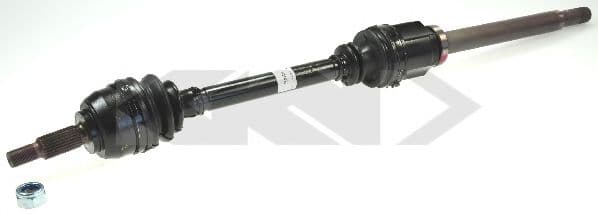 24447 Spidan Полуось