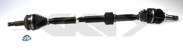 24679 Spidan Піввісь