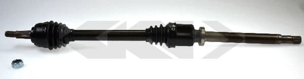 24698 Spidan Піввісь