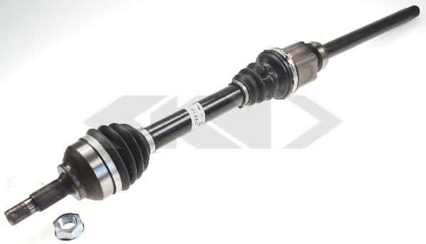 24719 Spidan Піввісь