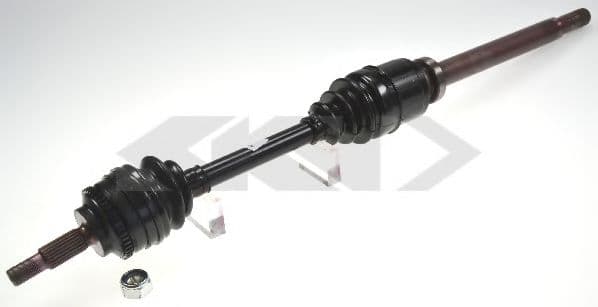 24938 Spidan Піввісь