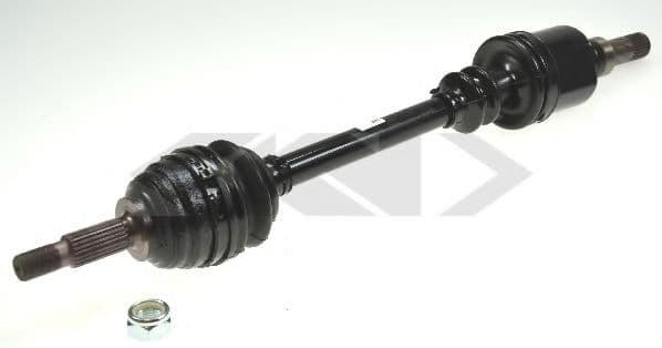 24944 Spidan Піввісь