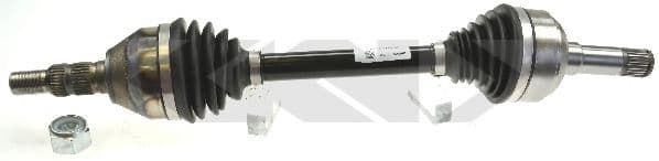 24965 Spidan Піввісь