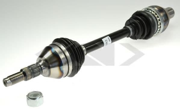 24983 Spidan Піввісь