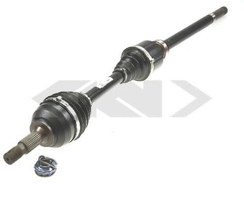 25175 Spidan Піввісь