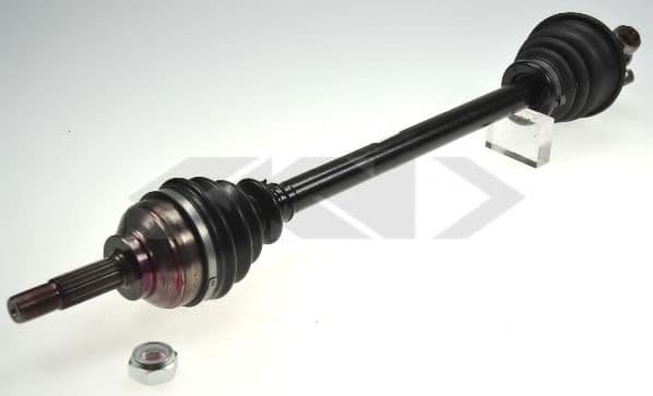 25257 Spidan Піввісь