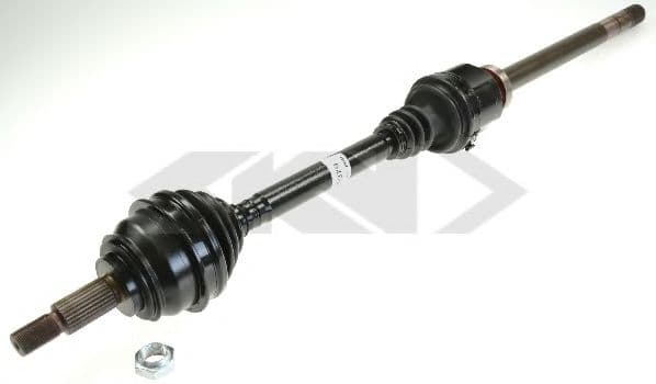 25379 Spidan Полуось