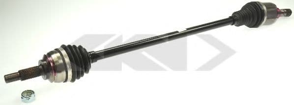 25642 Spidan Піввісь