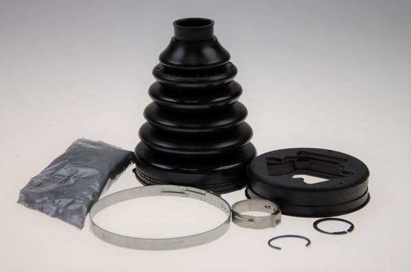 36692 Spidan Пильовик гранати