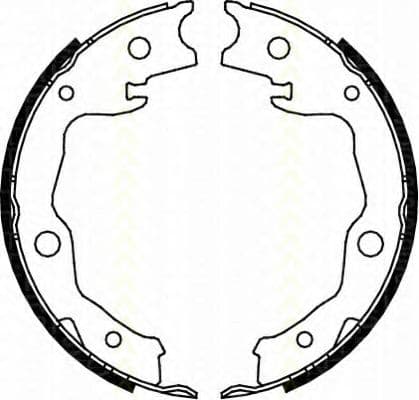 8100 13042 Triscan Колодки ручника