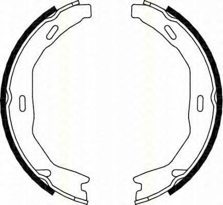 8100 23029 Triscan Колодки ручника