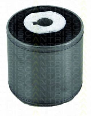 8500 65827 Triscan Сайлентблок важеля