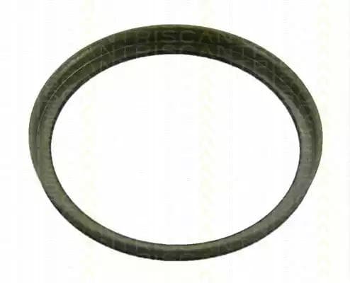 8540 29410 Triscan Монтажный комплект защитной накладки