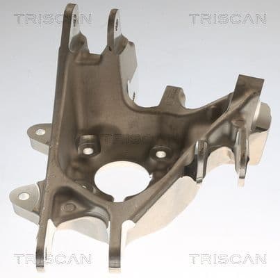 850081705 Triscan Поворотный кулак для Tesla Model X